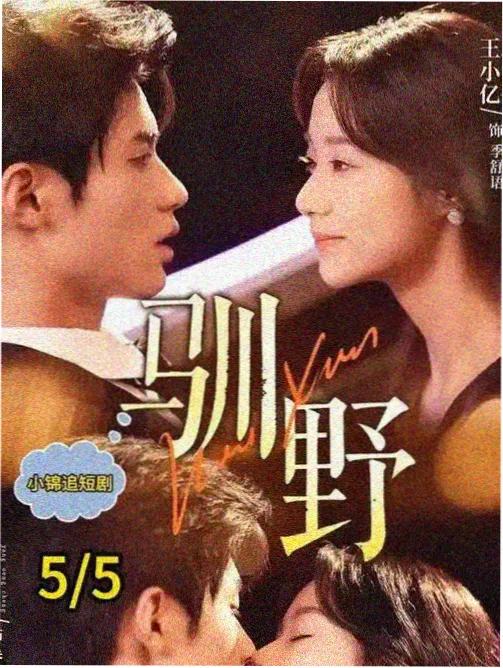 旧钟楼纪事孤狼影院片单封面